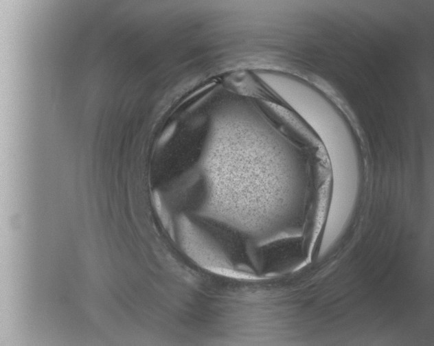 X0000080180481200612302249