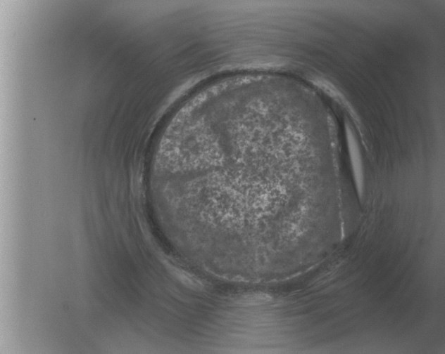 X0000080180483200612302249