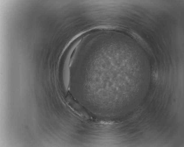 X0000080180484200612302249