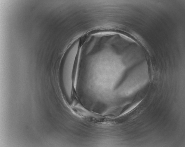 X0000080180485200612302249