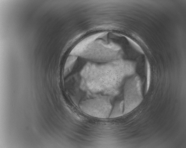 X0000080180486200612302249