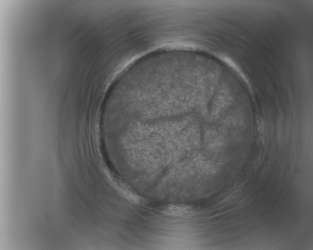 X0000080180487200612302249