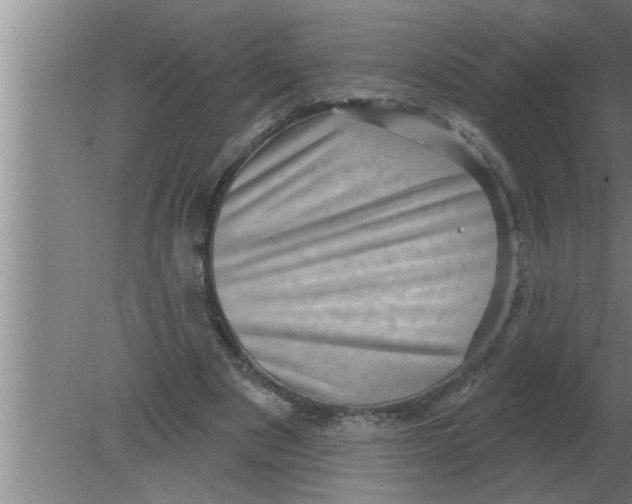 X0000080180489200612302249