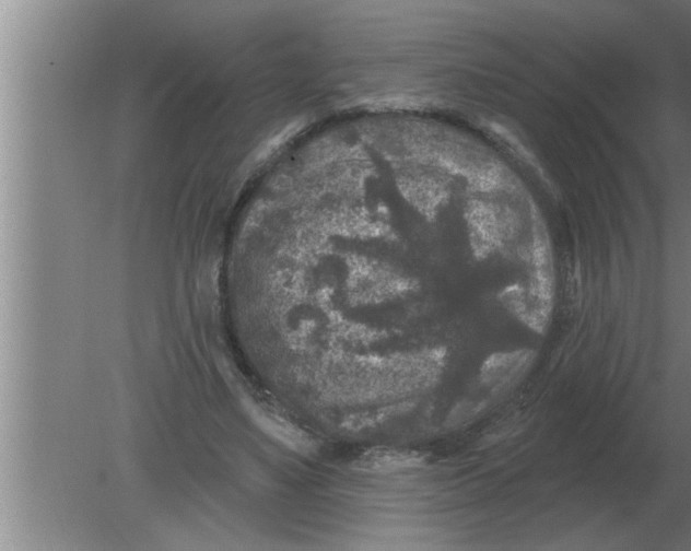 X0000080180491200612302249