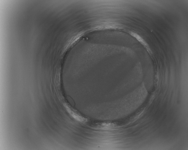 X0000080180493200612302249