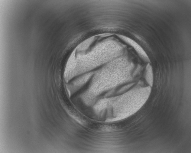 X0000080180494200612302249