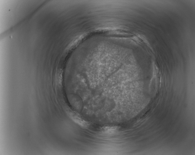 X0000080180495200612302249