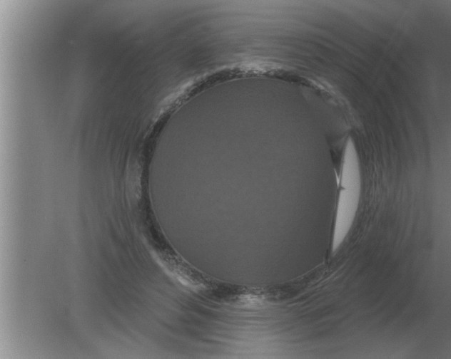 X0000080180496200612302249