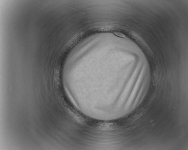 X0000080180497200612302249