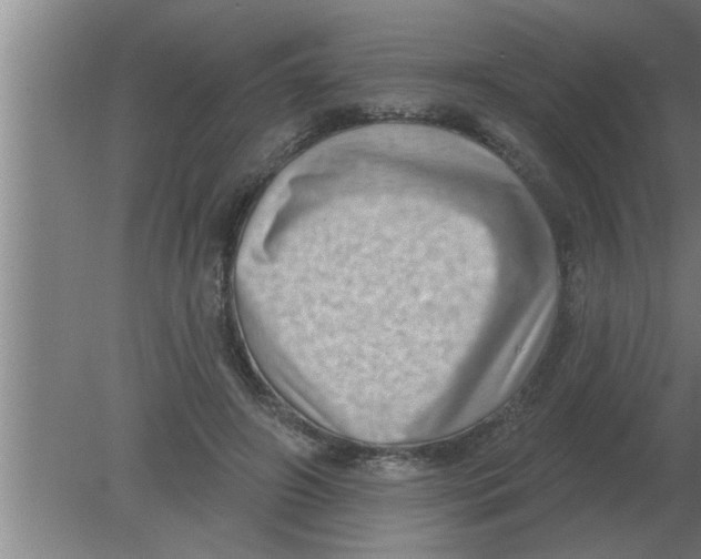 X0000080180498200612302249