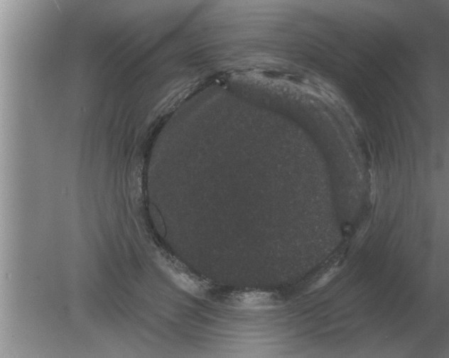 X0000080180501200612302249