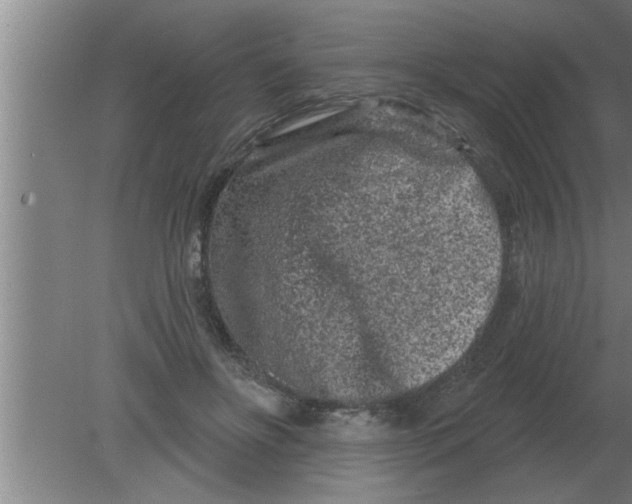 X0000080180502200612302249