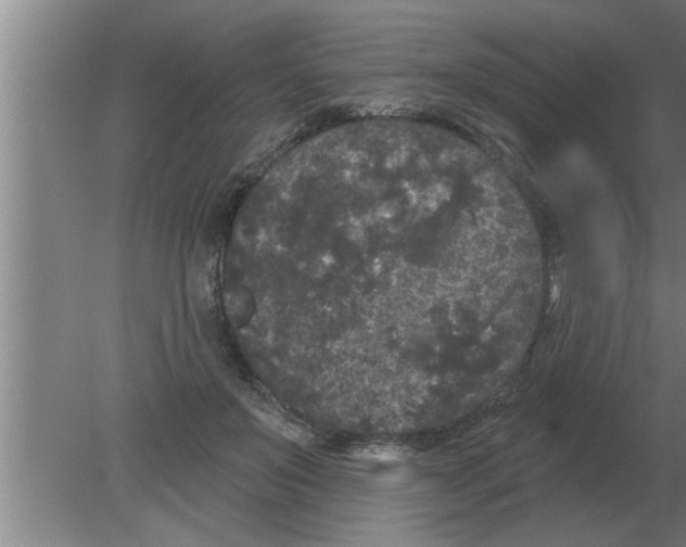 X0000080180503200612302249