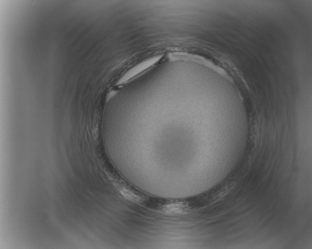 X0000080180505200612302249