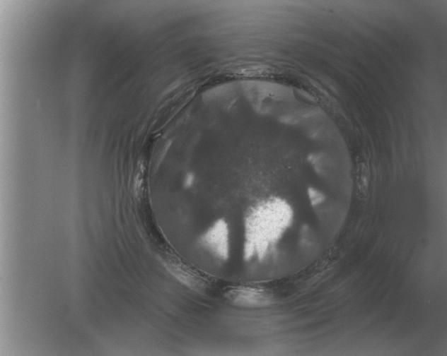 X0000080180507200612302248