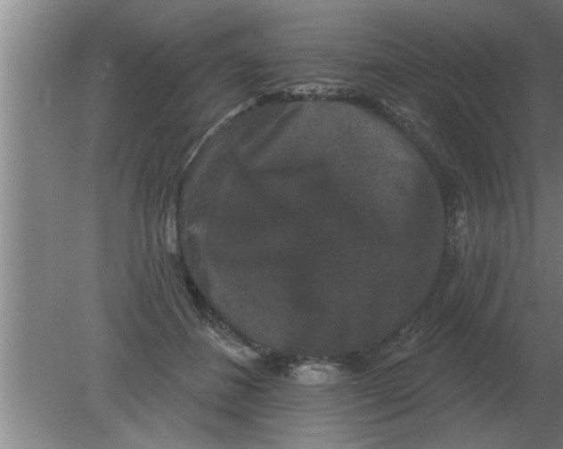 X0000080180508200612302248