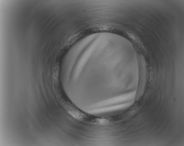 X0000080180509200612302248