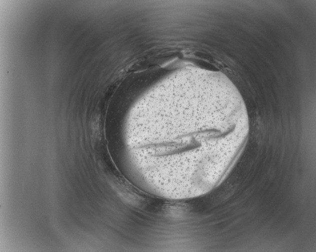 X0000080180510200612302248