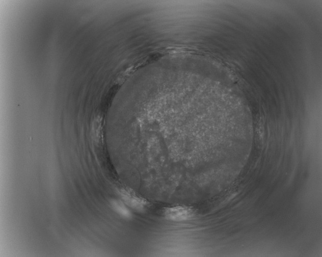 X0000080180511200612302248