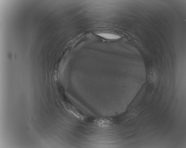 X0000080180512200612302248