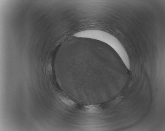 X0000080180516200612302248