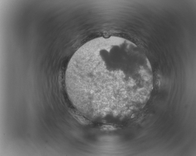 X0000080180519200612302248