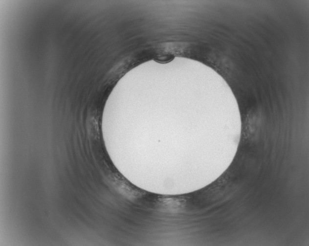 X0000080180522200612302248