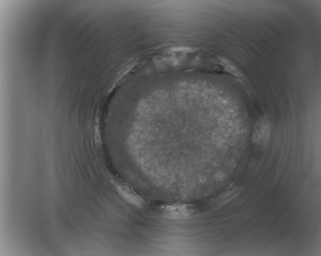 X0000080180524200612302248