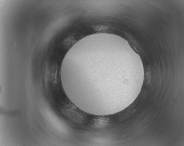 X0000080180525200612302248