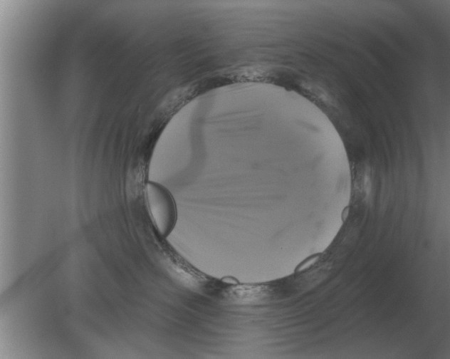 X0000080180526200612302248