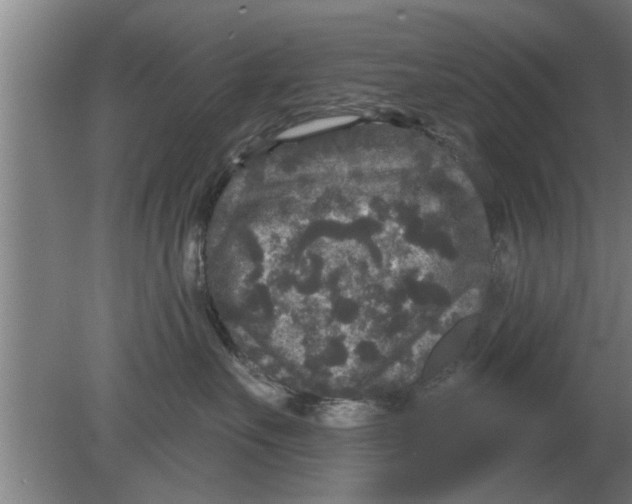 X0000080180527200612302248