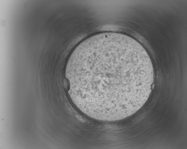 X0000080180529200612302247