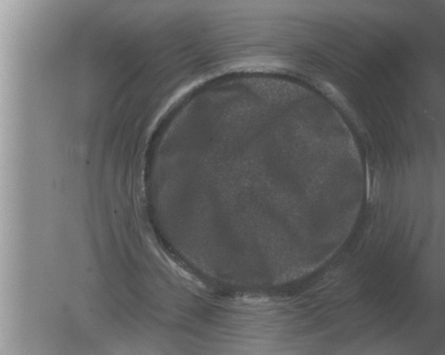 X0000080180531200612302247