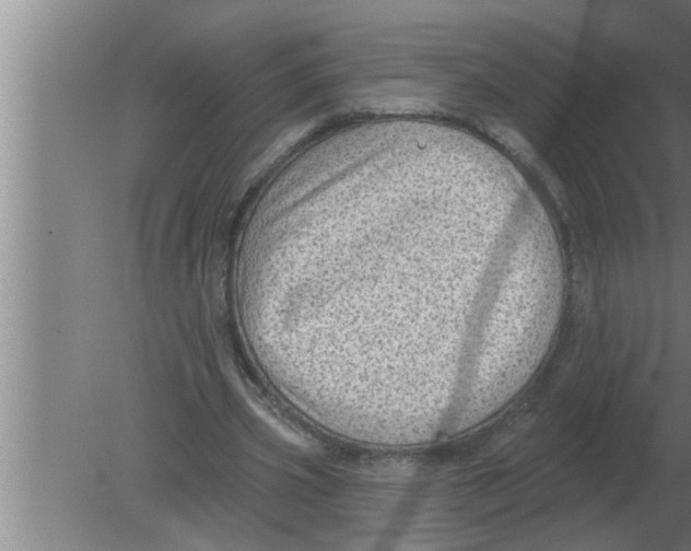 X0000080180533200612302247