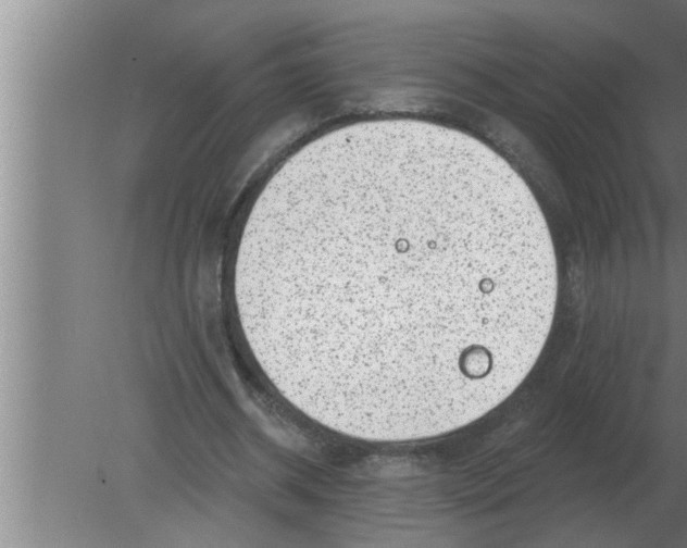 X0000080180534200612302247