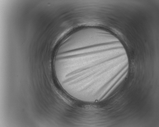 X0000080180535200612302247