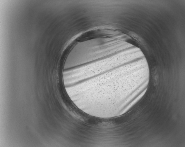 X0000080180536200612302247