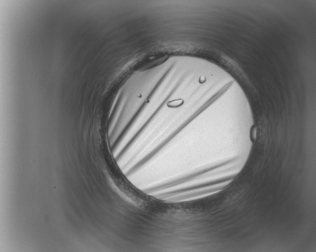 X0000080180538200612302247