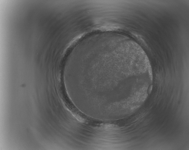 X0000080180539200612302247