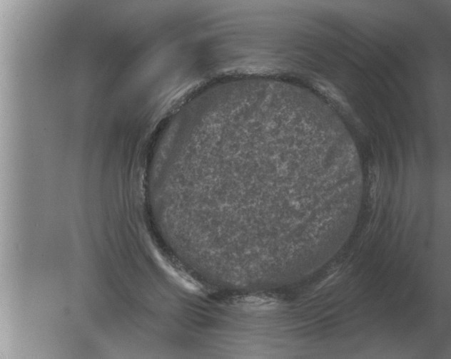 X0000080180542200612302248