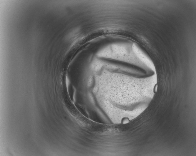 X0000080180543200612302248