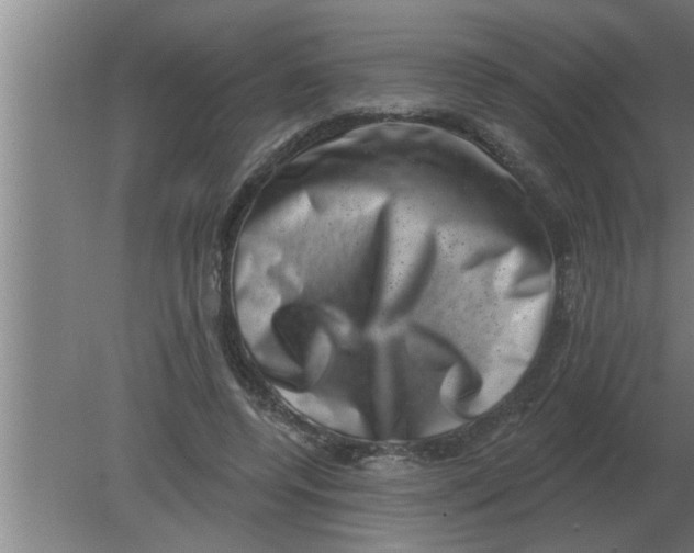 X0000080180544200612302248