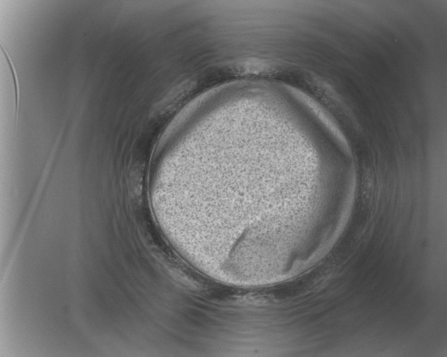 X0000080180545200612302248