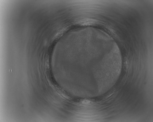 X0000080180547200612302248