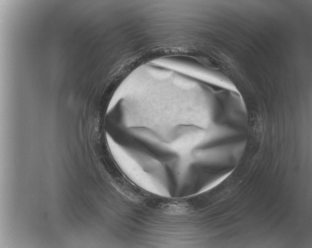 X0000080180548200612302248