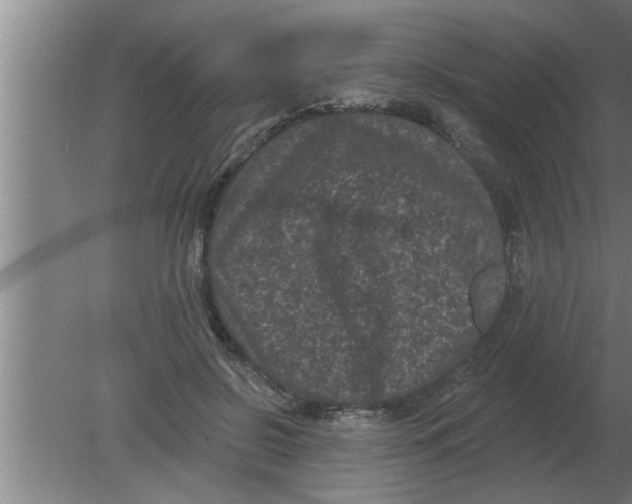 X0000080180550200612302248