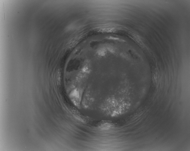 X0000080180551200612302248