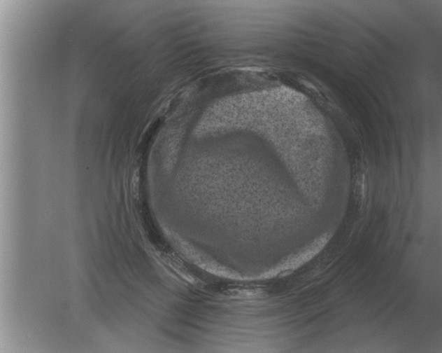 X0000080180552200612302248