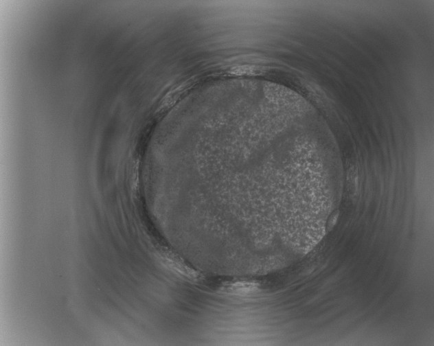 X0000080180554200612302248