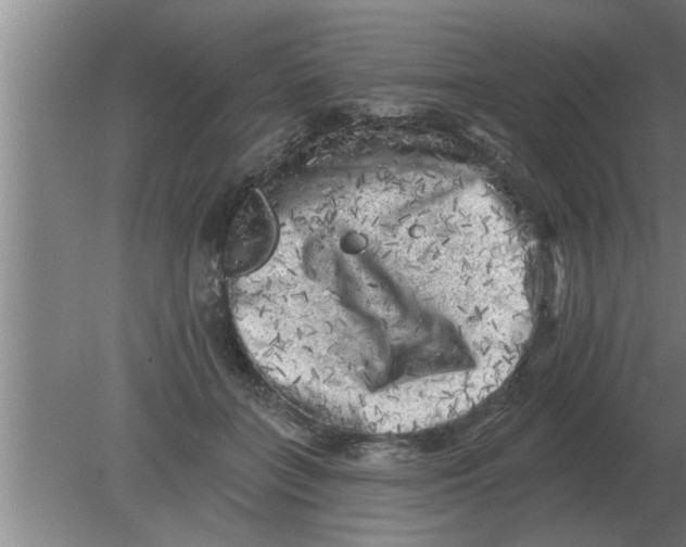 X0000080180555200612302248